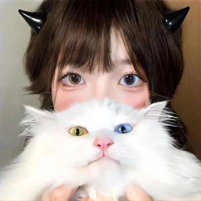 神捕十三娘